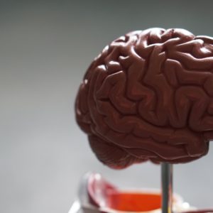 Wstrząśnienie mózgu- czym się charakteryzuje?
